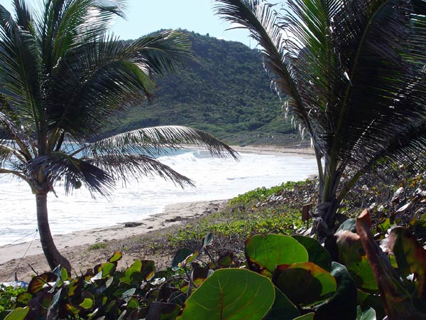 St Kitts, West Indies, Rental Property, Beach