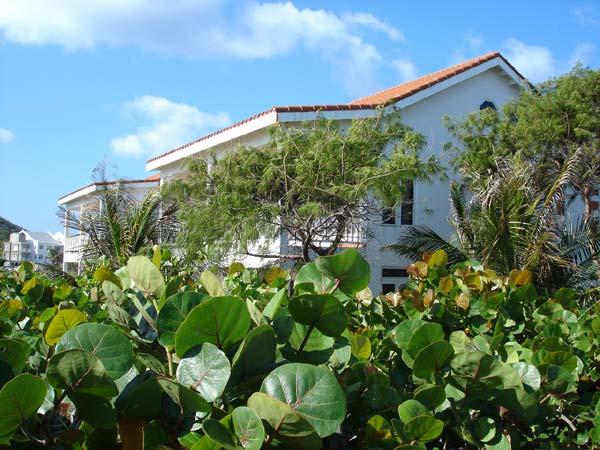 St Kitts, West Indies, Rental Property