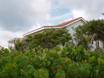 St Kitts, West Indies, Rental Property