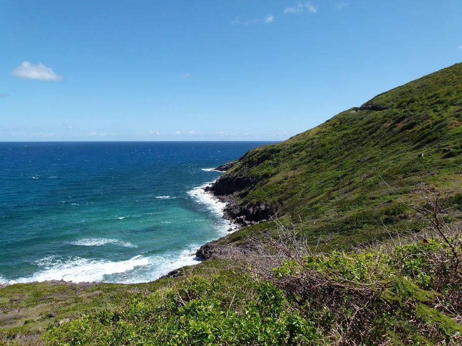 St Kitts, West Indies, Rental Property