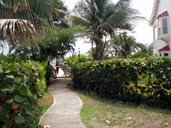 St Kitts, West Indies, Rental Property